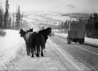 Alcan Highway, 1959